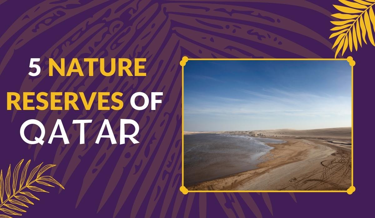 5 Nature Reserves of Qatar